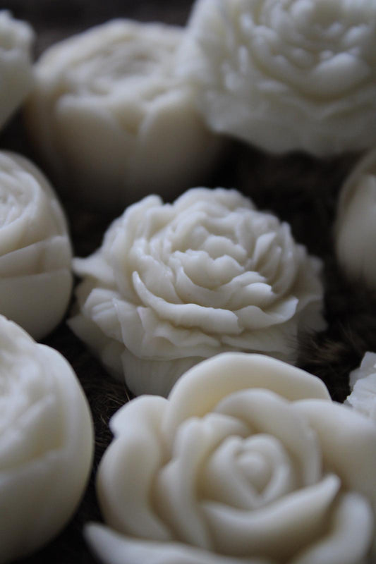 Waxmelts Bloemen